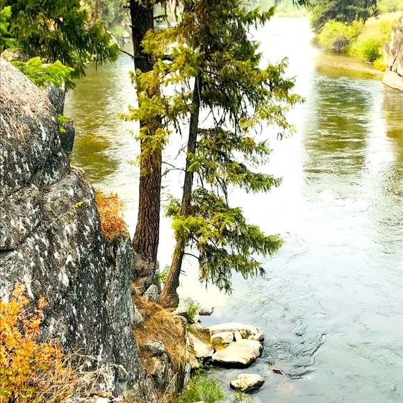 🌟Meet your Posh Ambassador, Diane - Picture 12 of 15